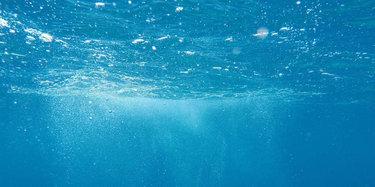Let’s talk about what CO2 emissions do to underwater life